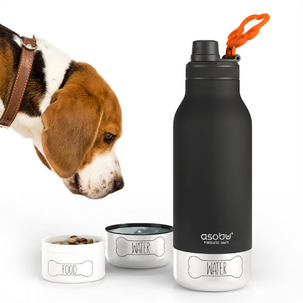 3-in-1 Ceramic Lined Bottle For You And Your Dog - Raymond's Hallmark