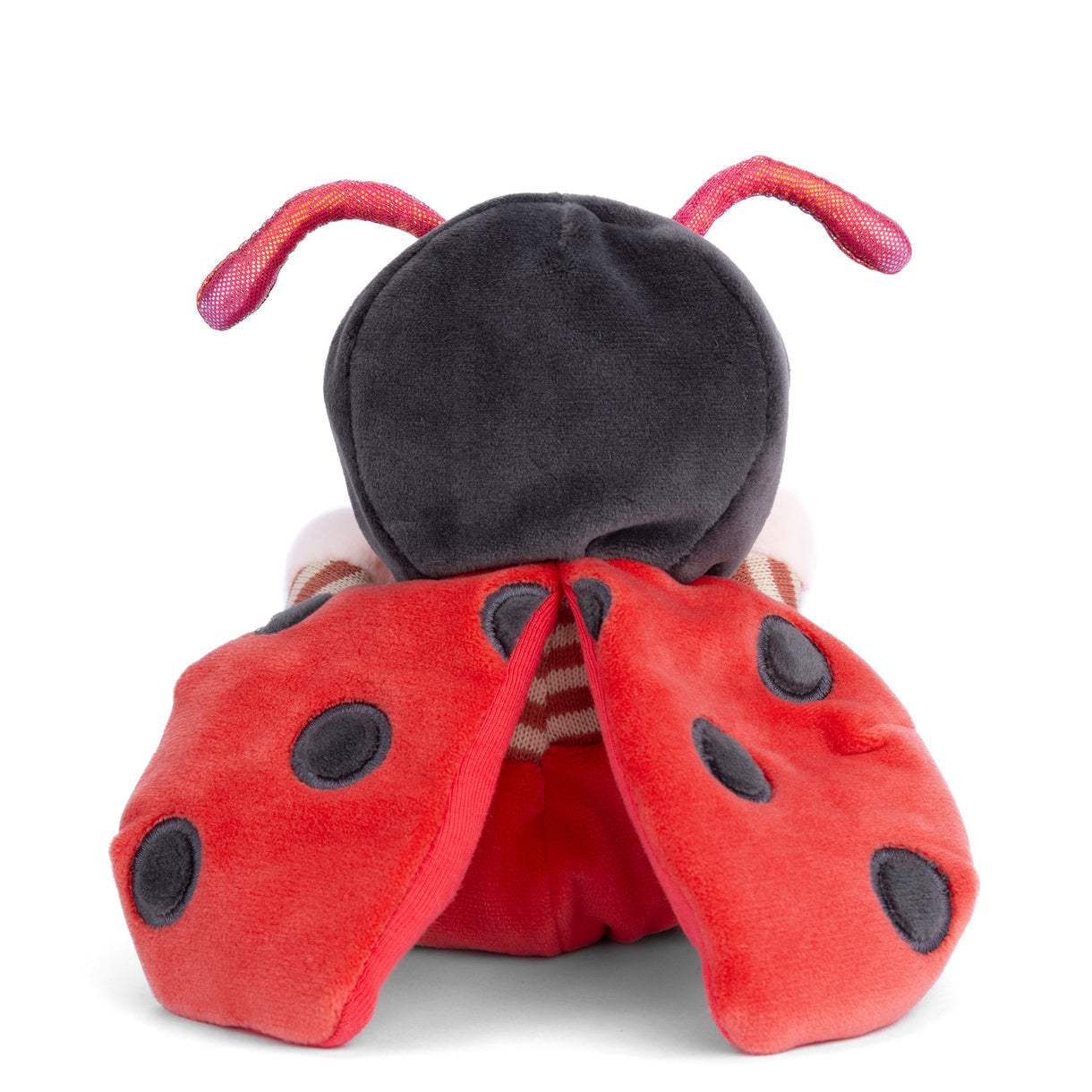 Ziggy Lady Bug - Raymond's Hallmark