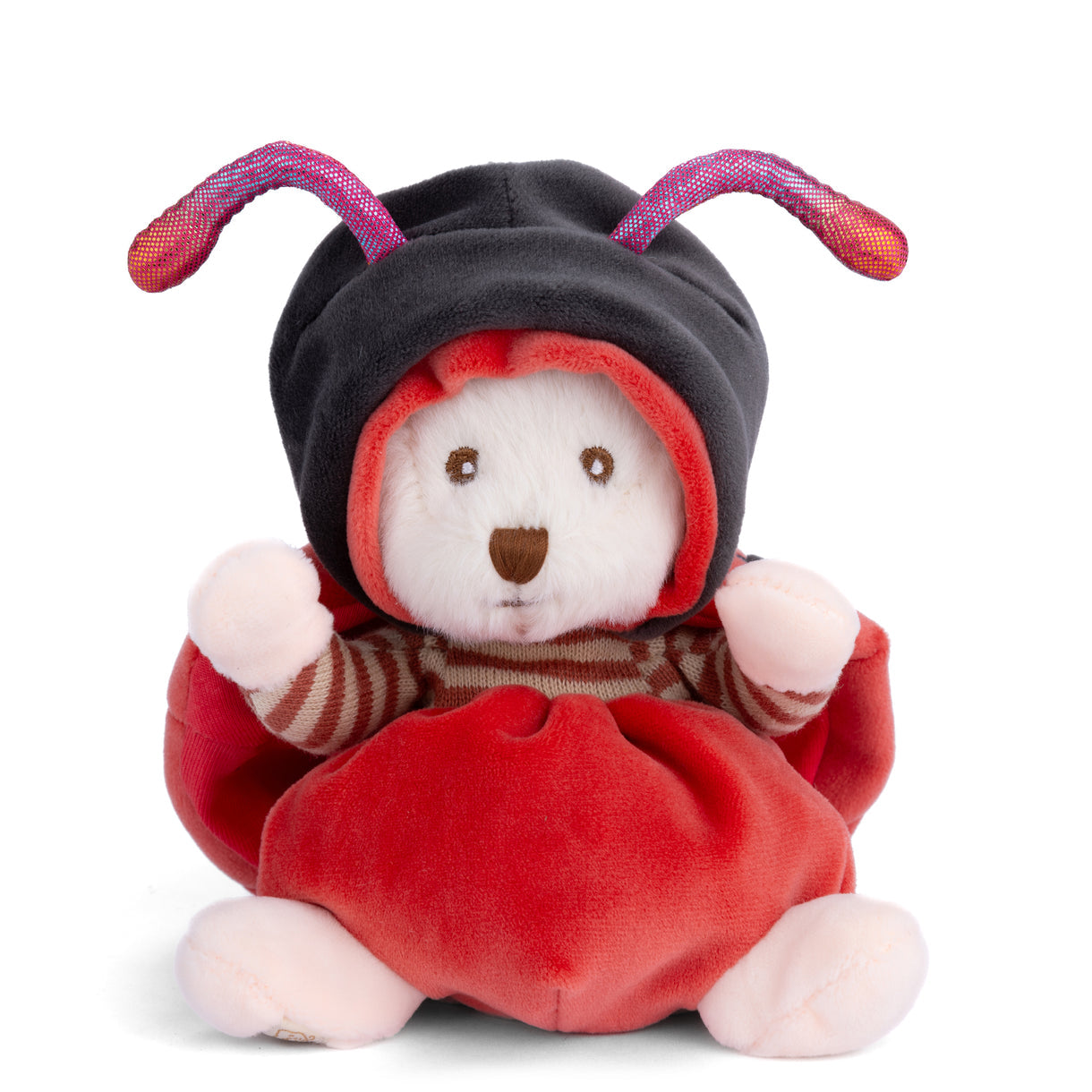 Ziggy Lady Bug - Raymond's Hallmark