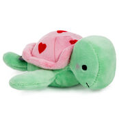 Zip-Along Turtle Plush Toy - Raymond's Hallmark