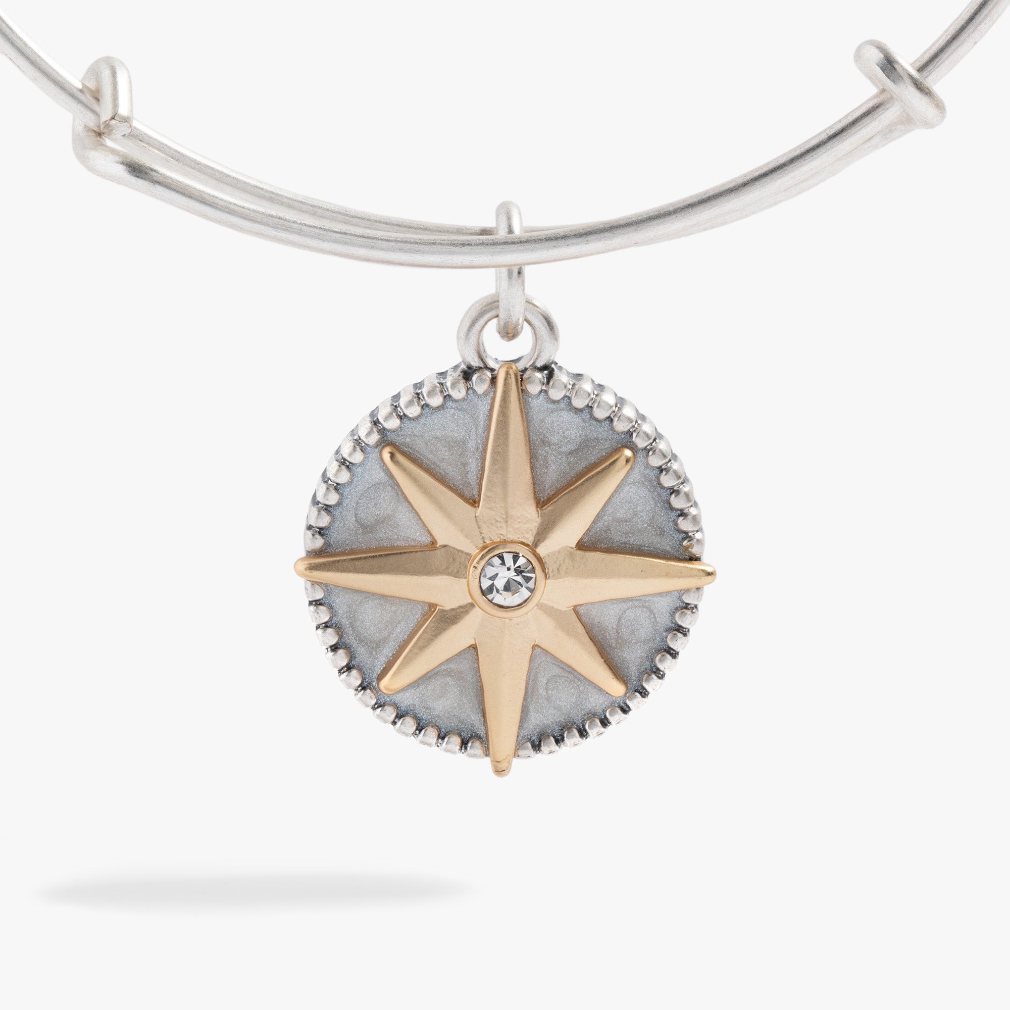 Compass Silver - Raymond's Hallmark