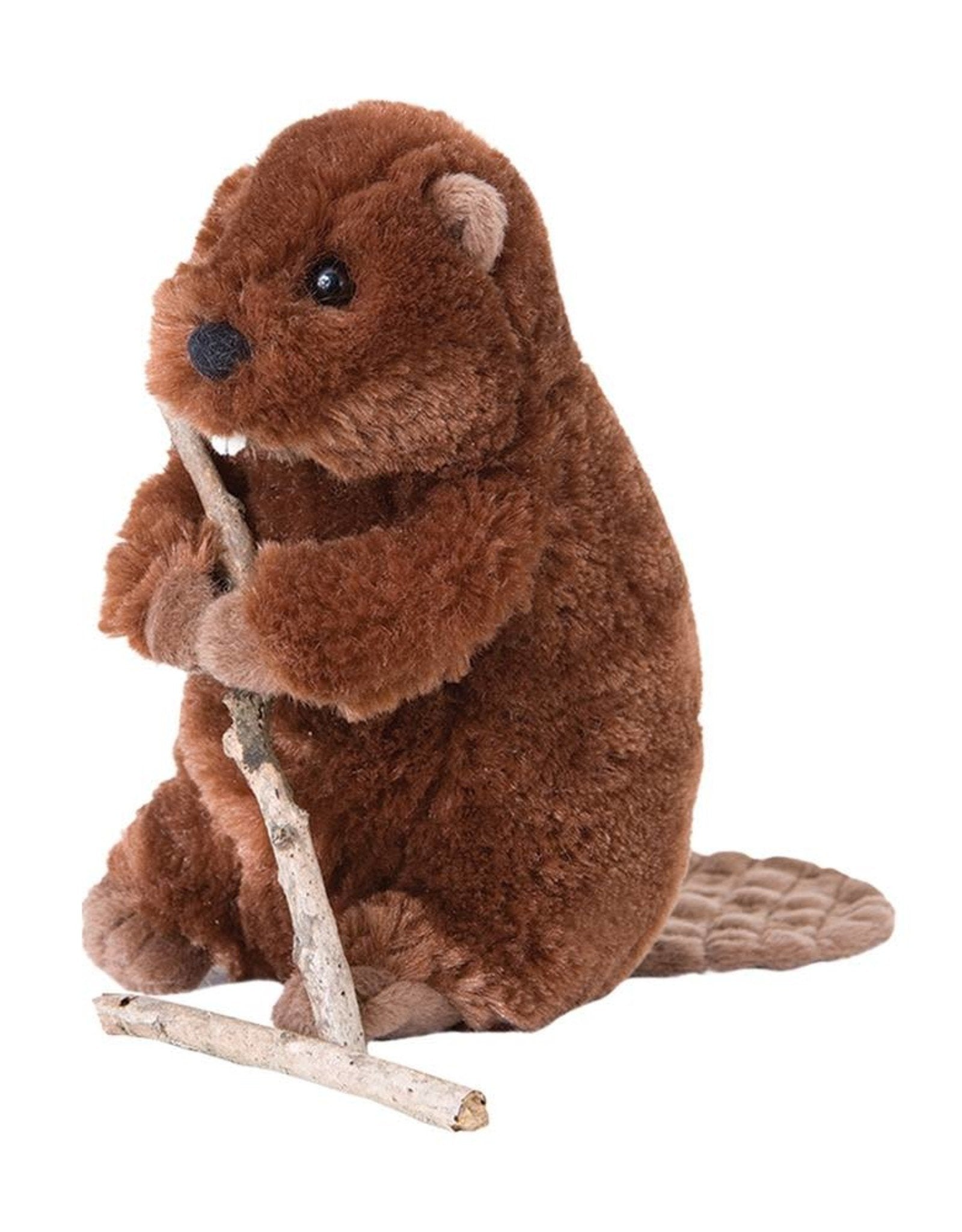 Buddy Beaver - Raymond's Hallmark