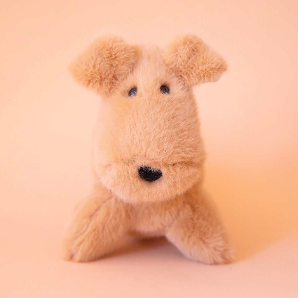 Tim, Tan Dog Muzzle - Raymond's Hallmark